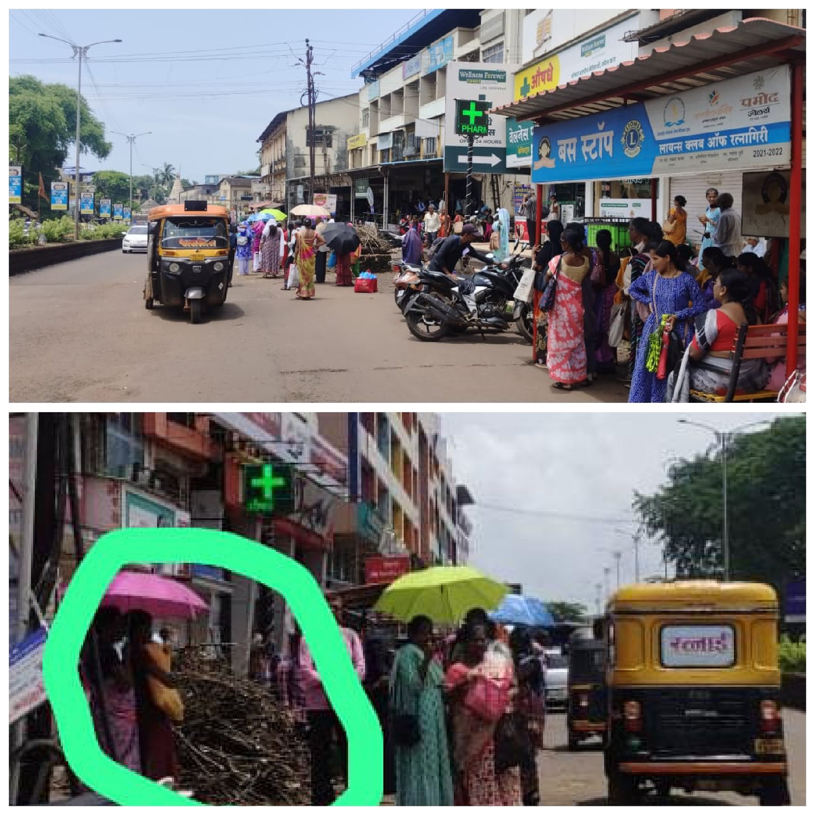 A tree providing shade to many commuters near the complex in front of Ratnagiri ST stand suddenly fell to the ground.